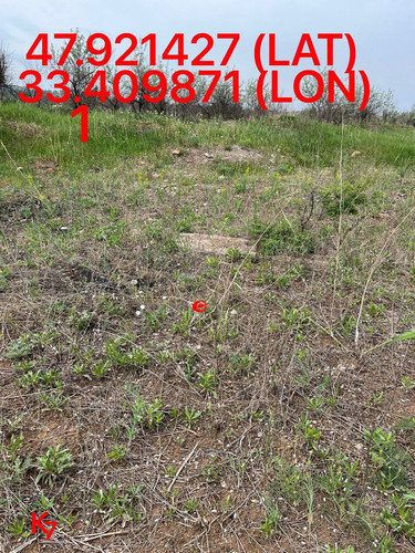 5249255741968214959.jpg
