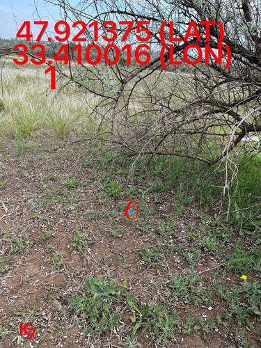 5249255741968214960.jpg