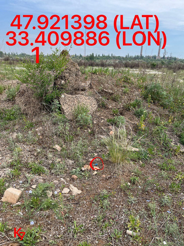 5249255741968214958.jpg
