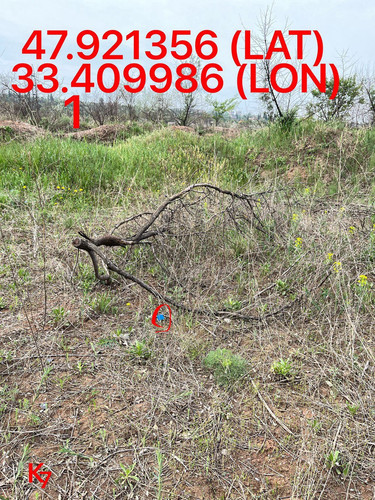 5249255741968214962.jpg