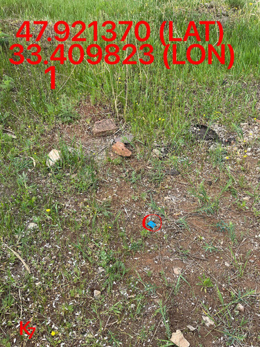 5249255741968214966.jpg