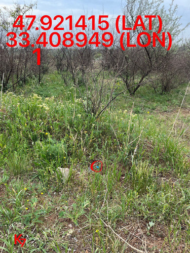 5249255741968214972.jpg