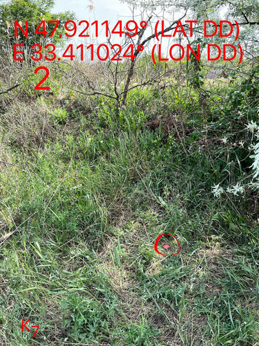 5249255741968214956.jpg