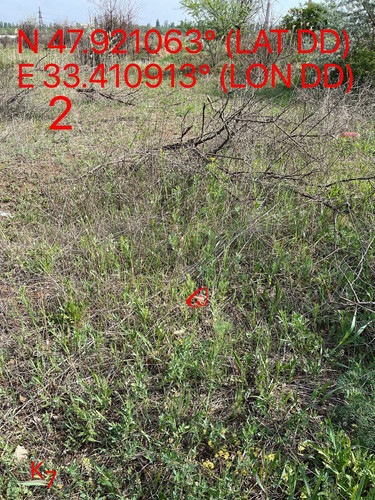 5249255741968214948.jpg