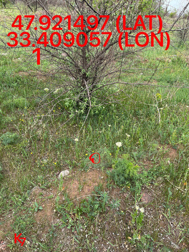 5249255741968214977.jpg