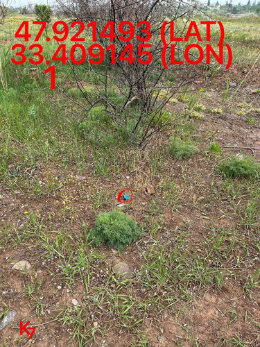5249255741968214976.jpg