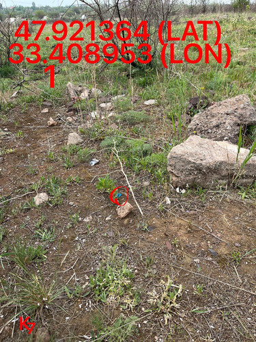 5249255741968214985.jpg