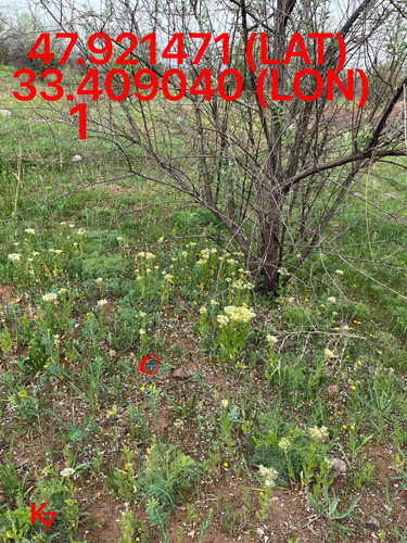 5249255741968214979.jpg