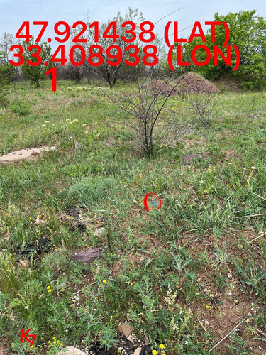 5249255741968214981.jpg