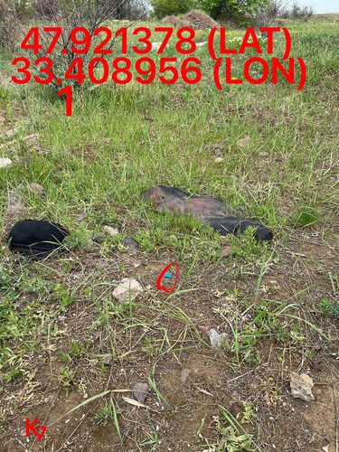 5249255741968214983.jpg
