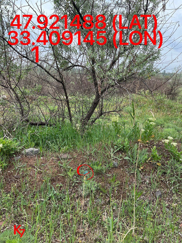 5249255741968214975.jpg