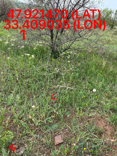 5249255741968214978.jpg