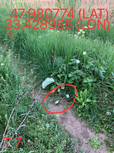 5249025574670823798.jpg