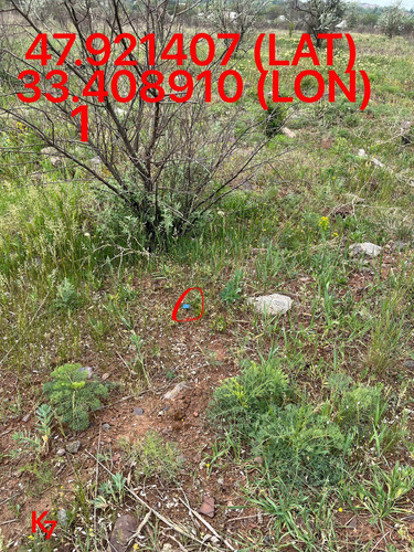 5249255741968214987.jpg