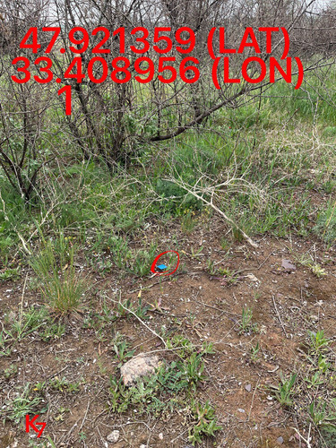5249255741968214990.jpg