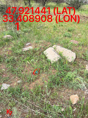 5249255741968214989.jpg