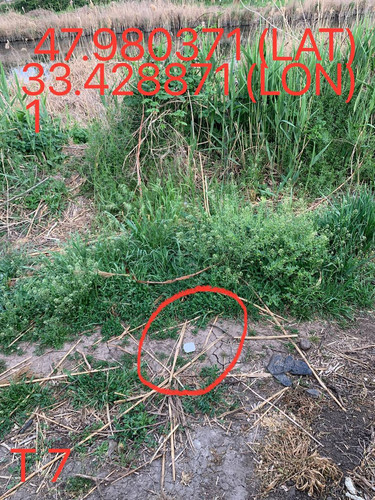 5249025574670823805.jpg