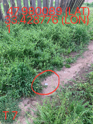 5249025574670823819.jpg
