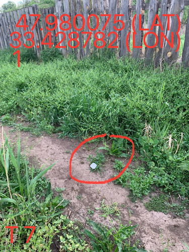 5249025574670823820.jpg