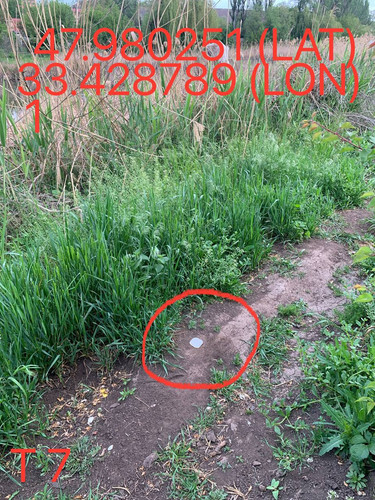 5249025574670823808.jpg