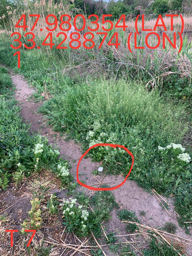 5249025574670823804.jpg