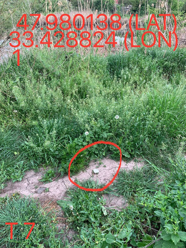 5249025574670823816.jpg