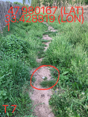 5249025574670823814.jpg