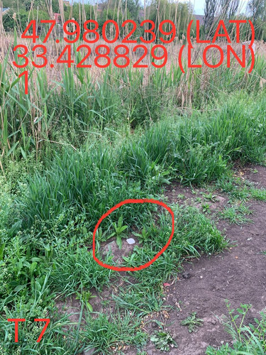 5249025574670823809.jpg