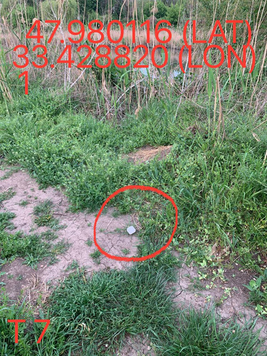 5249025574670823818.jpg