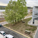 IMG 20250506 WA0023