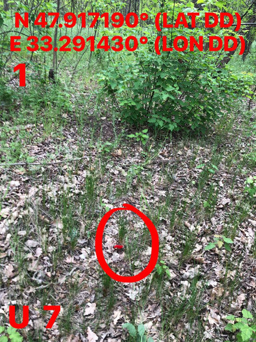 5249153431552261069.jpg