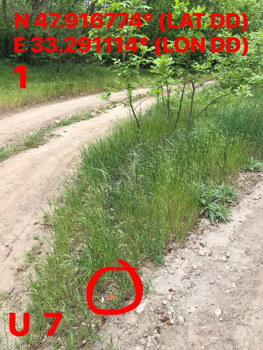5249153431552261066.jpg