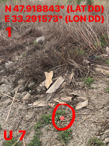 5249153431552261074.jpg