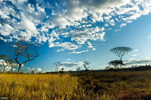 Nova imagem guardiao.png