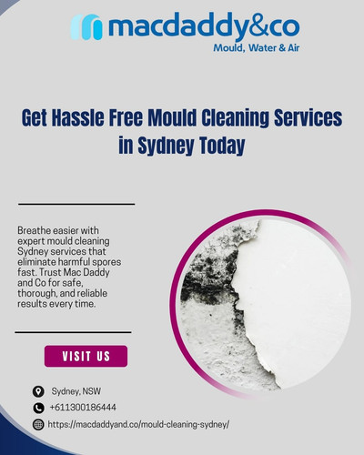 mould cleaning sydney (5).jpg