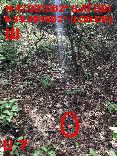 5249153431552261123.jpg