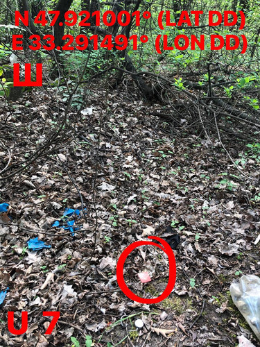 5249407483162784318.jpg