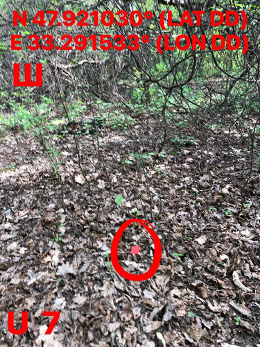 5249153431552261124.jpg