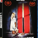 8181120223356B (1) preview rev 1.png