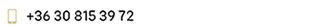 Phone.png