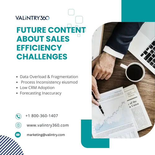 Future content about Sales Efficiency Challenges.jpg