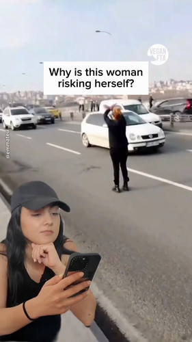  dt2gBTkvXOYg4mr.jpg