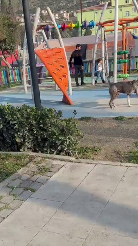 SL5YGxwn0UOkeWXt.jpg