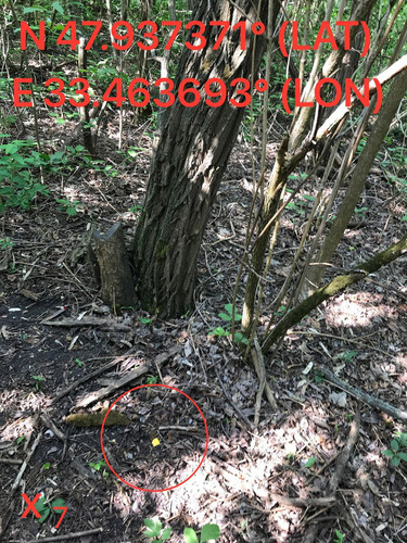 5249095342119581671.jpg