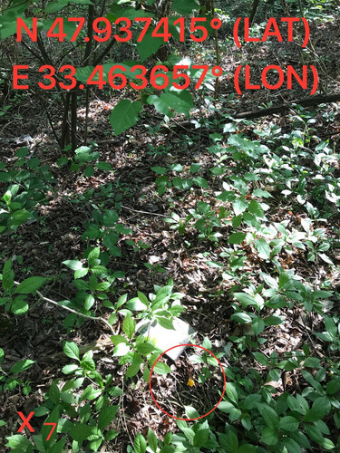 5249095342119581674.jpg