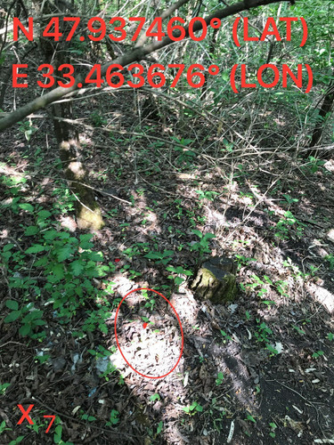 5249095342119581675.jpg