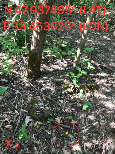 5249095342119581679.jpg