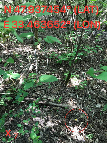 5249095342119581676.jpg