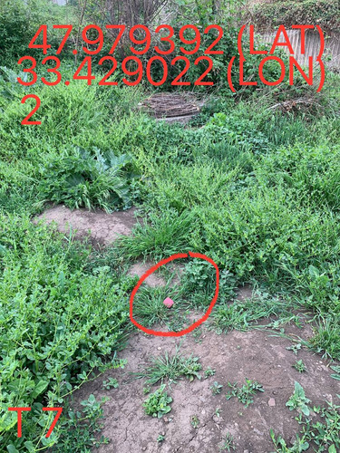 5249025574670823828.jpg