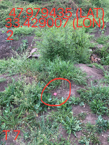 5249025574670823829.jpg